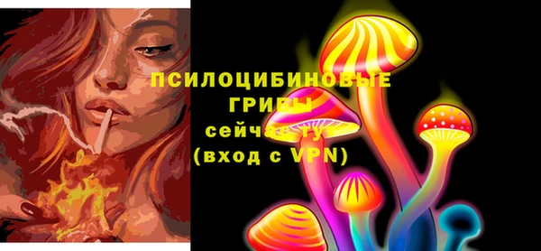 сатива Заводоуковск