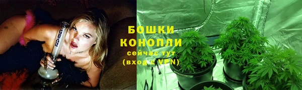 сатива Заводоуковск