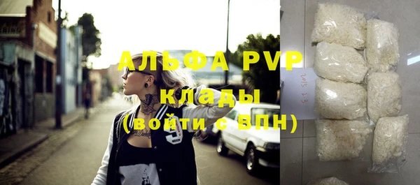 прущие грибы Заволжье