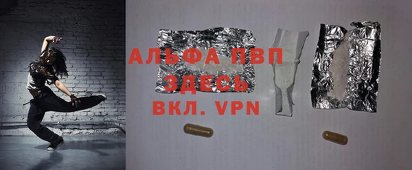 прущие грибы Заволжье