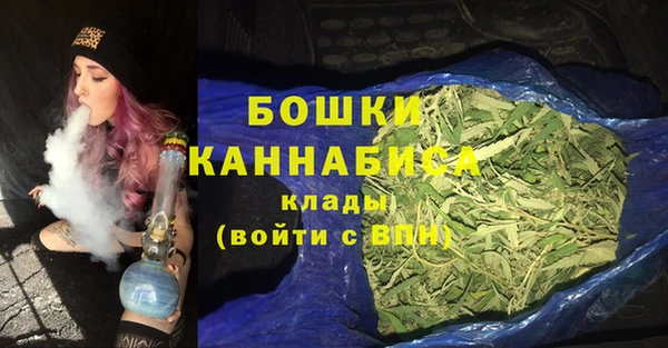 сатива Заводоуковск