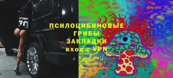 сатива Заводоуковск