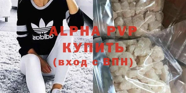 прущие грибы Заволжье
