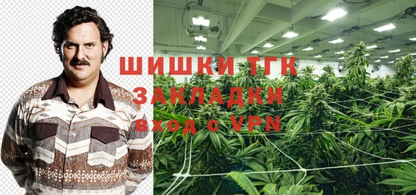 прущие грибы Заволжье