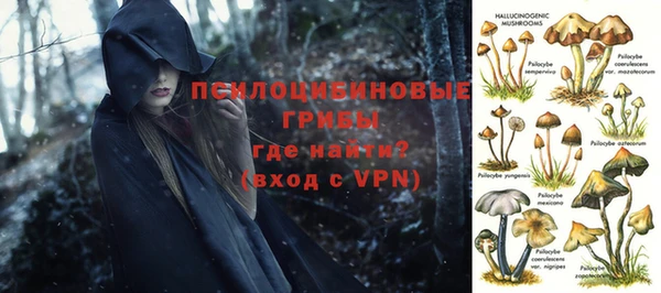 mdpv Заволжск