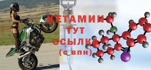 сатива Заводоуковск