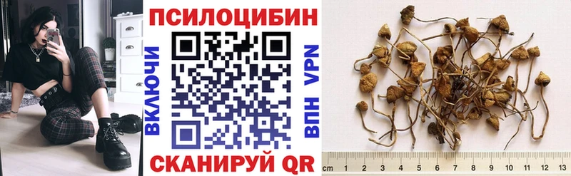 Псилоцибиновые грибы Cubensis  Купить закладки  Карасук 
